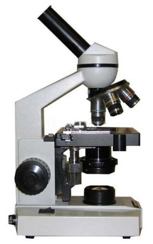 872d1efb-cf36-11ef-9d2e-000c29e1040d